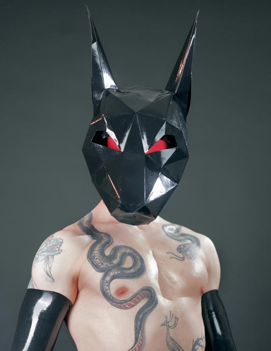 ANUBI_ 3D Mask